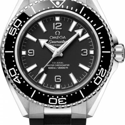 Omegg_a Seamaster Planet Ocean 600M Co-Axial Master Chronometer full black