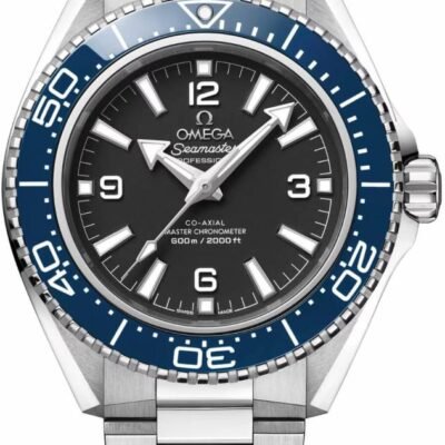 Omegg_a Seamaster Planet Ocean 600M Co-Axial Master Chronometer metal Silver black blue